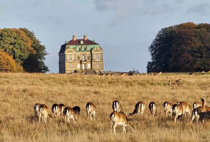 Hermitage Palace & Royal Deer Park Bike Tour